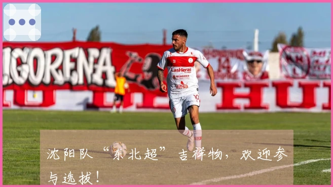 沈阳队“东北超”吉祥物，欢迎参与选拔！