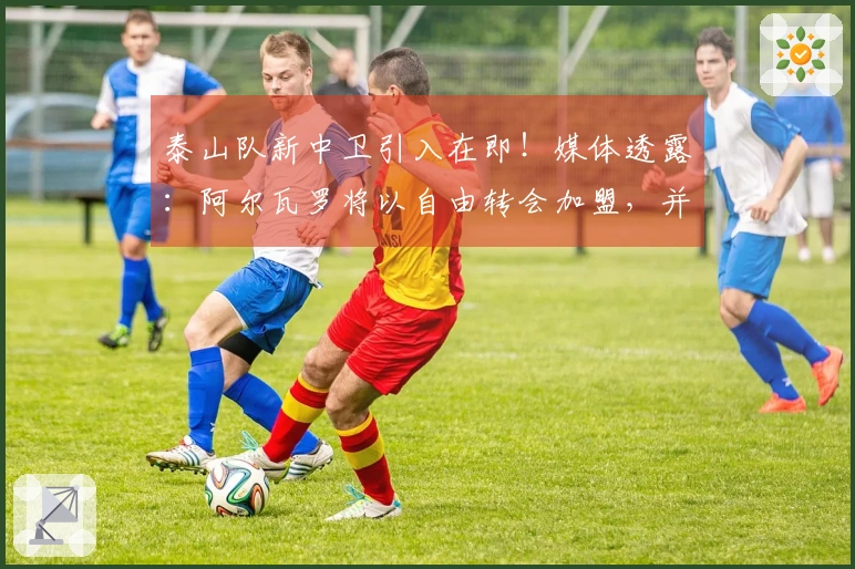 泰山队新中卫引入在即！媒体透露：阿尔瓦罗将以自由转会加盟，并年薪达100万