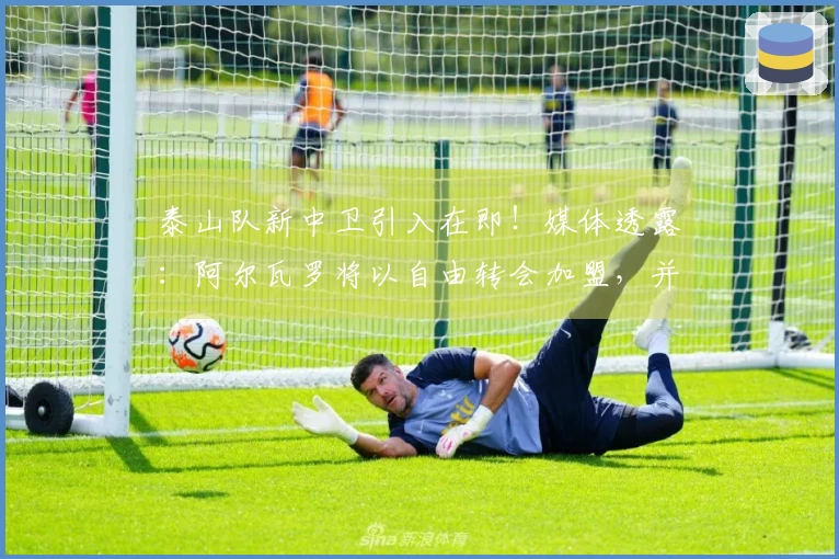 泰山队新中卫引入在即！媒体透露：阿尔瓦罗将以自由转会加盟，并年薪达100万